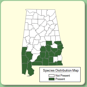 Species Distribution Map