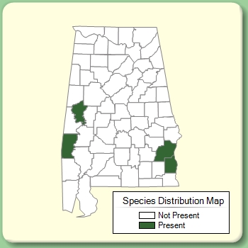 Species Distribution Map