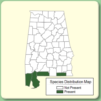 Species Distribution Map