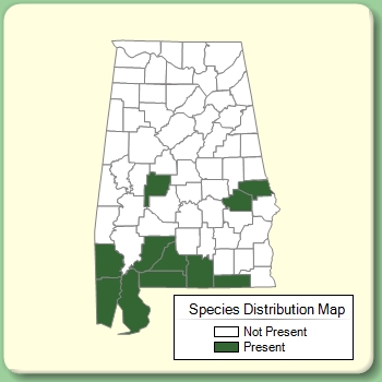 Species Distribution Map