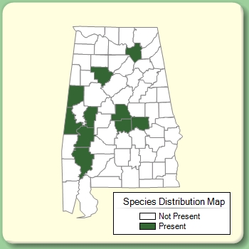 Species Distribution Map