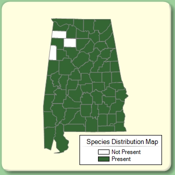 Species Distribution Map