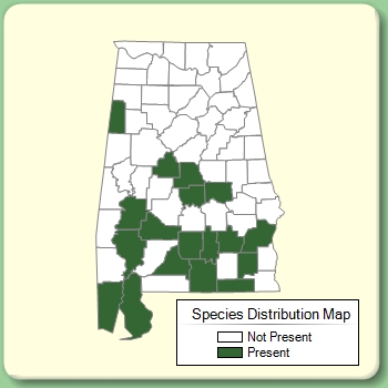 Species Distribution Map