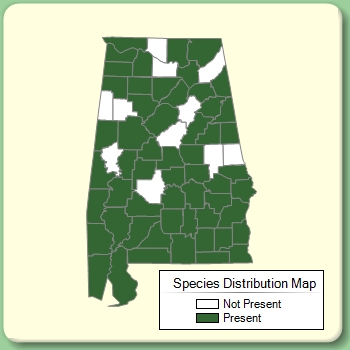 Species Distribution Map