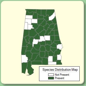 Species Distribution Map