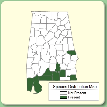 Species Distribution Map