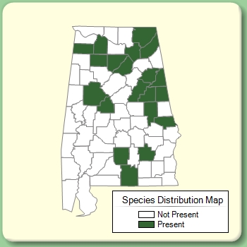 Species Distribution Map