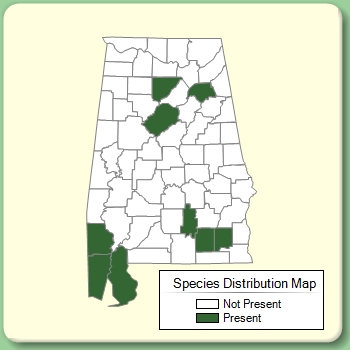 Species Distribution Map