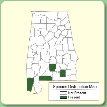 Species Distribution Map