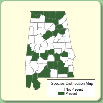 Species Distribution Map