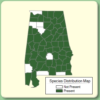 Species Distribution Map