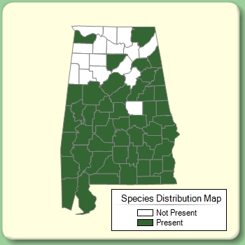 Species Distribution Map