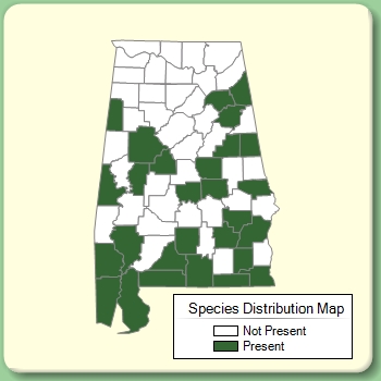 Species Distribution Map