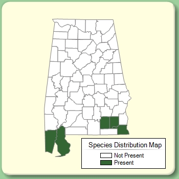 Species Distribution Map