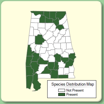 Species Distribution Map