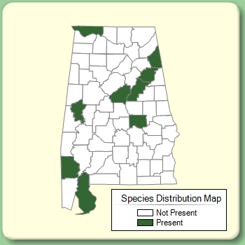 Species Distribution Map