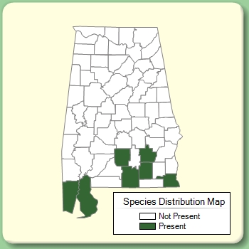 Species Distribution Map