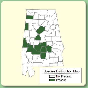 Species Distribution Map