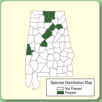 Species Distribution Map