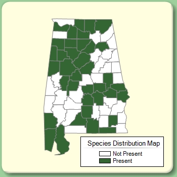 Species Distribution Map