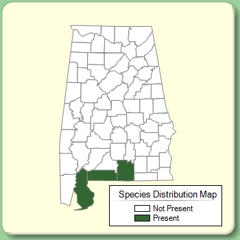 Species Distribution Map