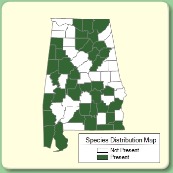 Species Distribution Map