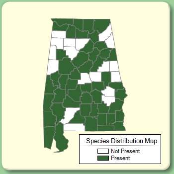 Species Distribution Map