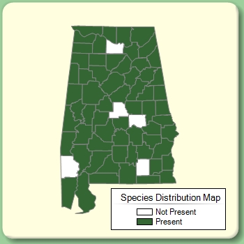 Species Distribution Map