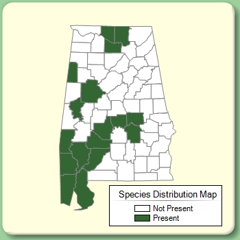 Species Distribution Map