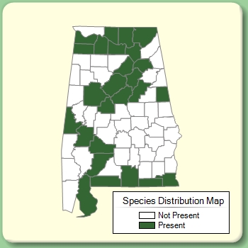 Species Distribution Map