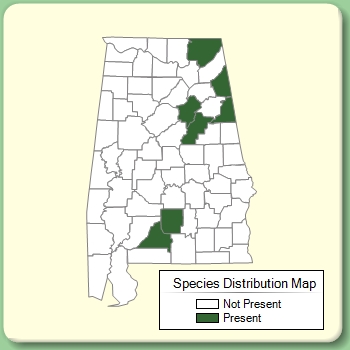 Species Distribution Map