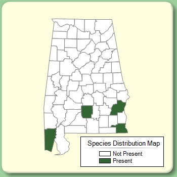 Species Distribution Map