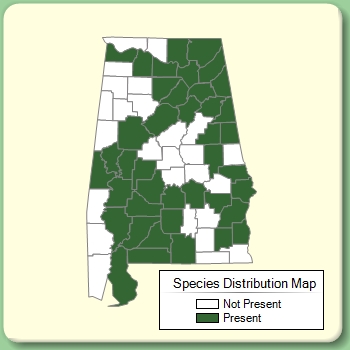 Species Distribution Map