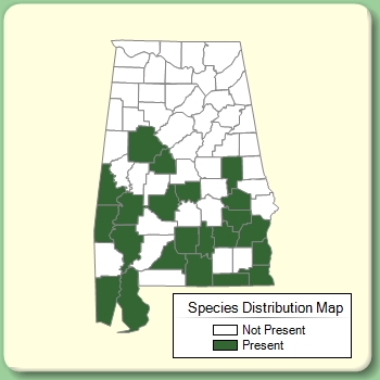 Species Distribution Map