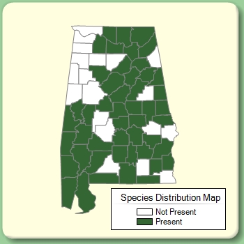 Species Distribution Map