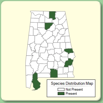 Species Distribution Map