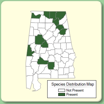 Species Distribution Map