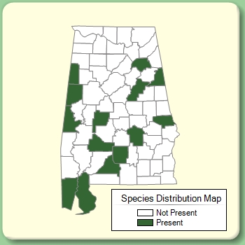 Species Distribution Map