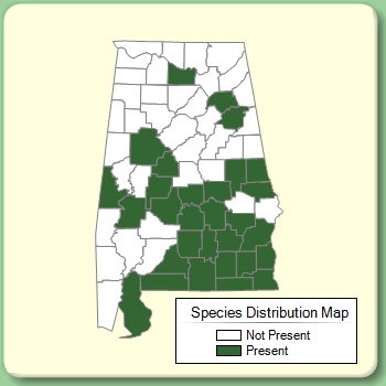 Species Distribution Map