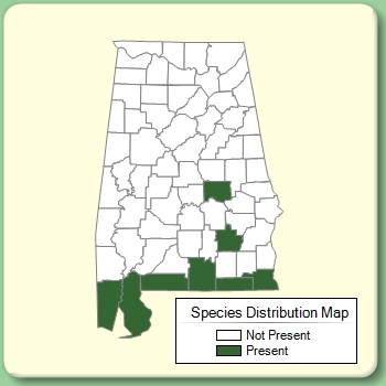 Species Distribution Map