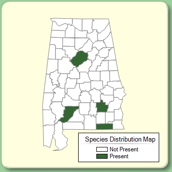 Species Distribution Map