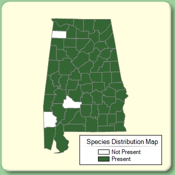 Species Distribution Map