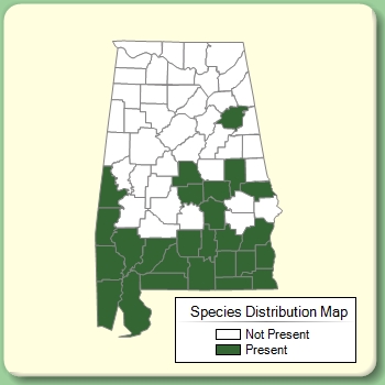 Species Distribution Map