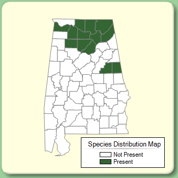 Species Distribution Map