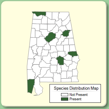 Species Distribution Map