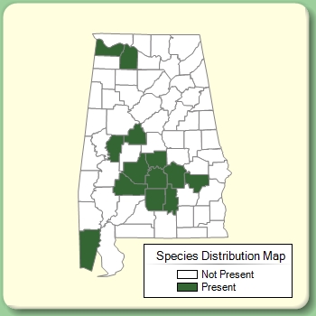 Species Distribution Map