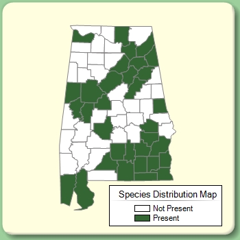 Species Distribution Map