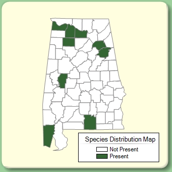 Species Distribution Map