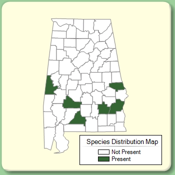 Species Distribution Map