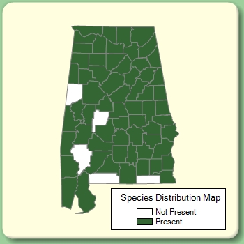 Species Distribution Map